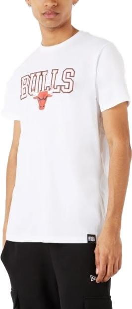 Magliette New Era Chicago Bulls Graphic Hoop T-Shirt FWHI