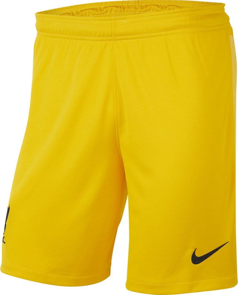 Nike Liverpool FC 2021/22 Stadium Goalkeeper Men s Soccer Shorts