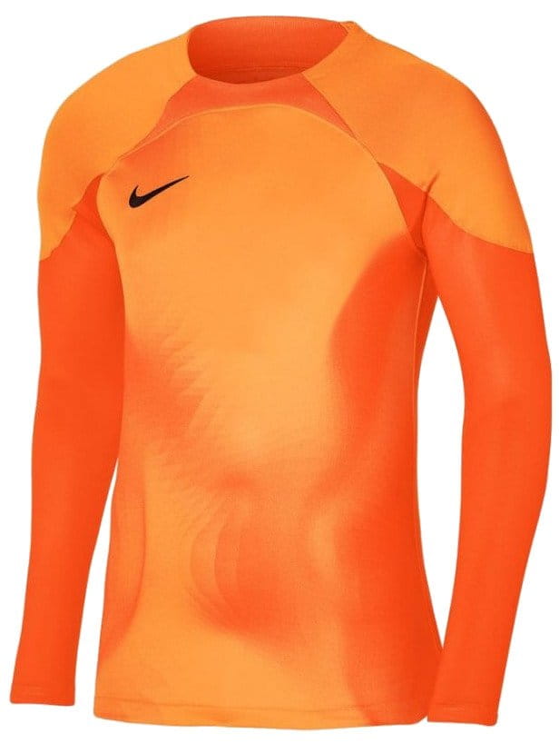 Magliette a maniche lunghe Nike Dri-FIT ADV Gardien 4 Goalkeeper LS